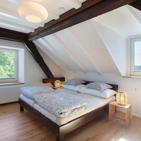 Quellenhof Suedschwarzwald Apartment
